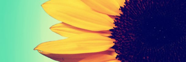 proffy94's profile banner image