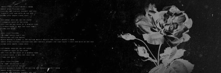ketyy! 🦇 banner