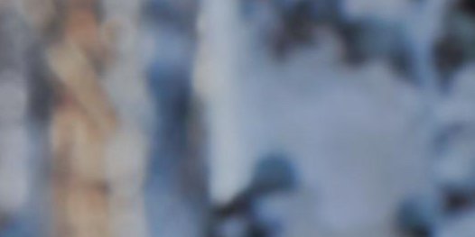 Kristel van Eijk banner