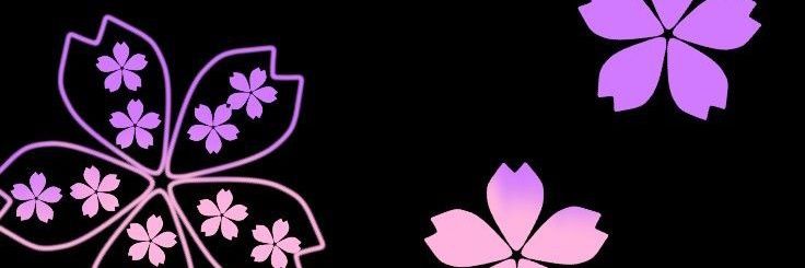 Raven ❄️ banner