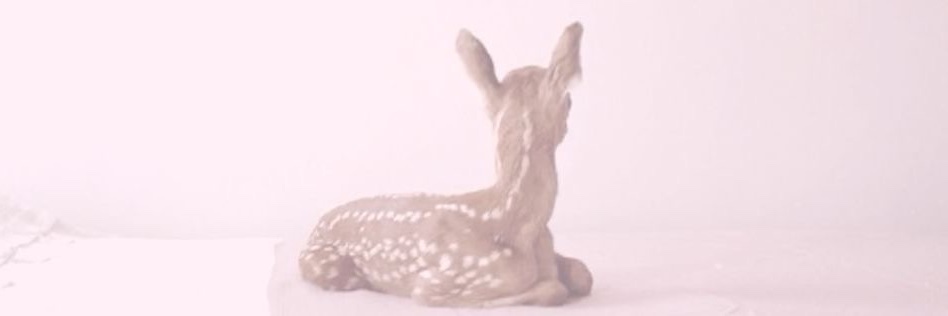 blackpink satis takas banner