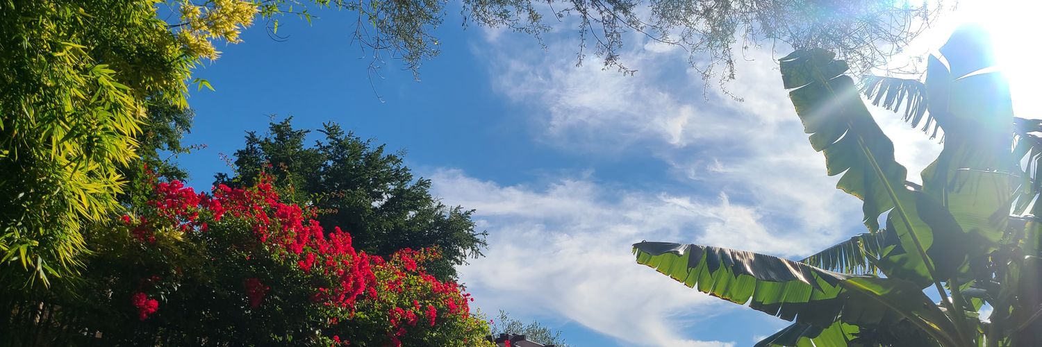 Monique3jo's profile banner image
