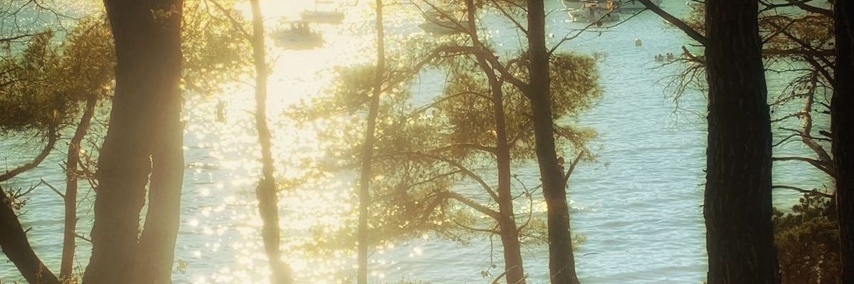 iwttbb18's profile banner image