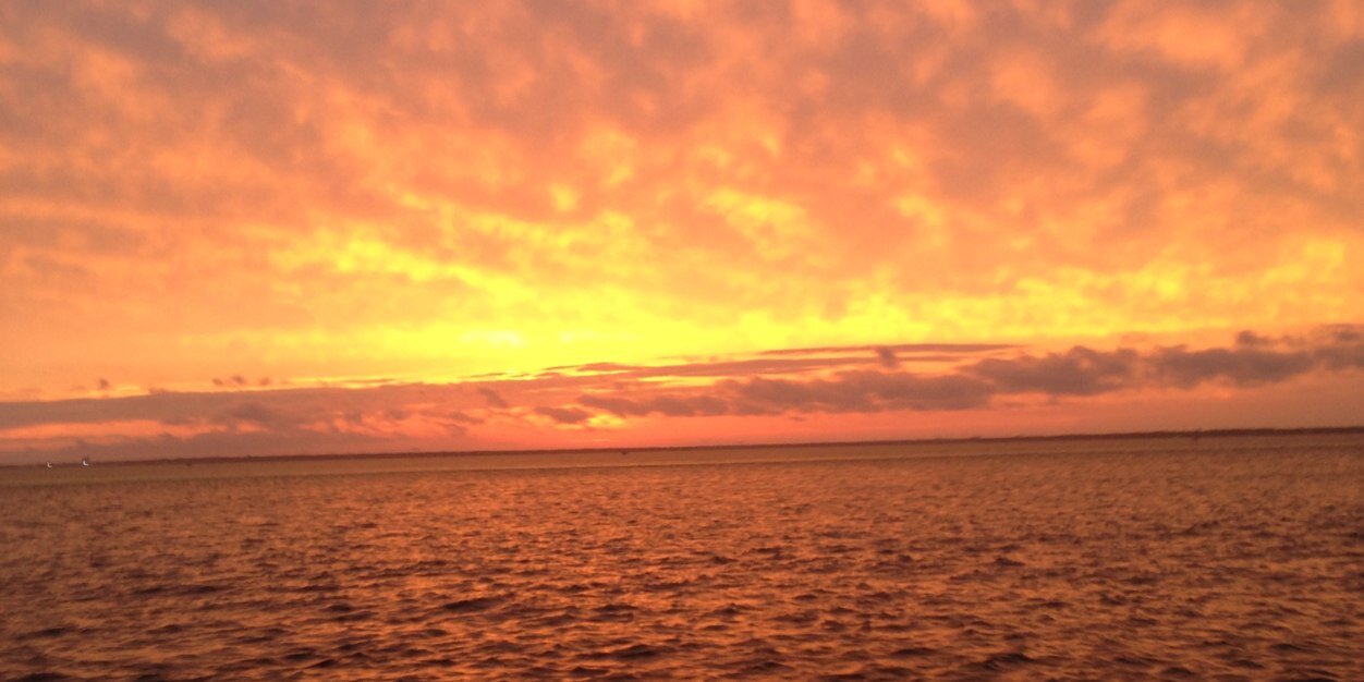 chelseynic's profile banner image