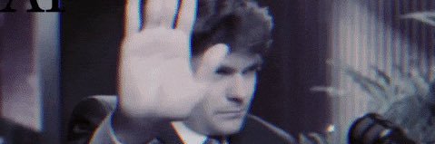 Raptor 🇪🇺🇷🇺🇺🇸 banner