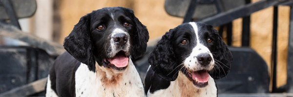 jdening Profile Banner