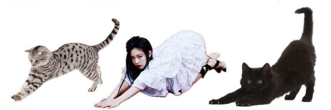 𔘓⁩ ˚ ˳ ∘ | lili 🍦(2,7k/16,9k) banner