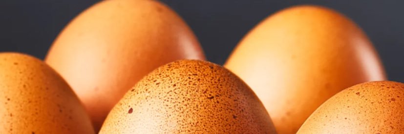 Egg banner