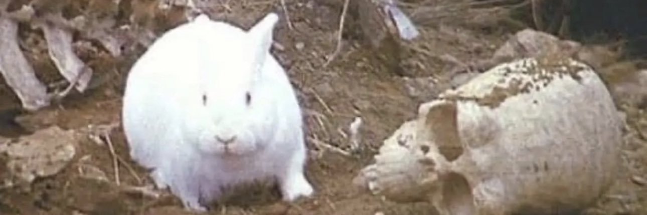 evan (find me literally anywhere else) banner