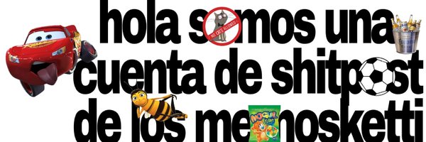 shitpostketti Profile Banner