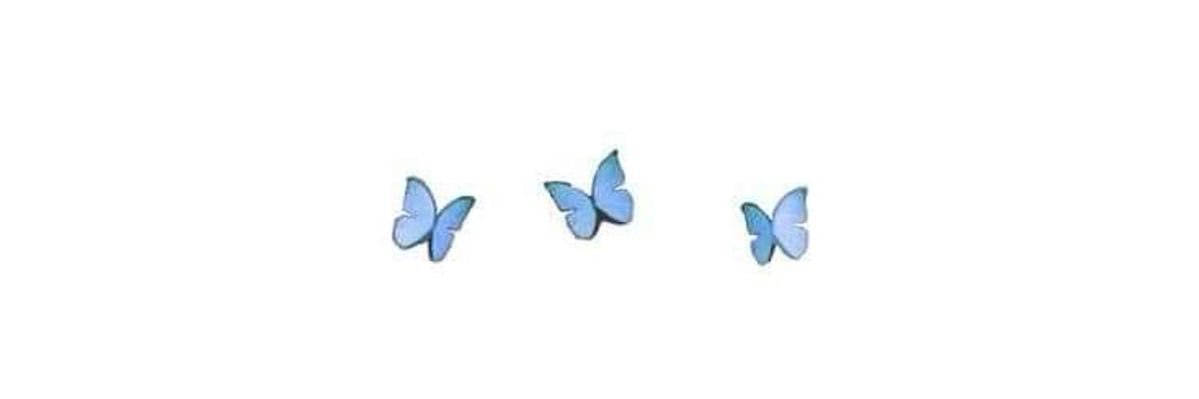 Evin banner
