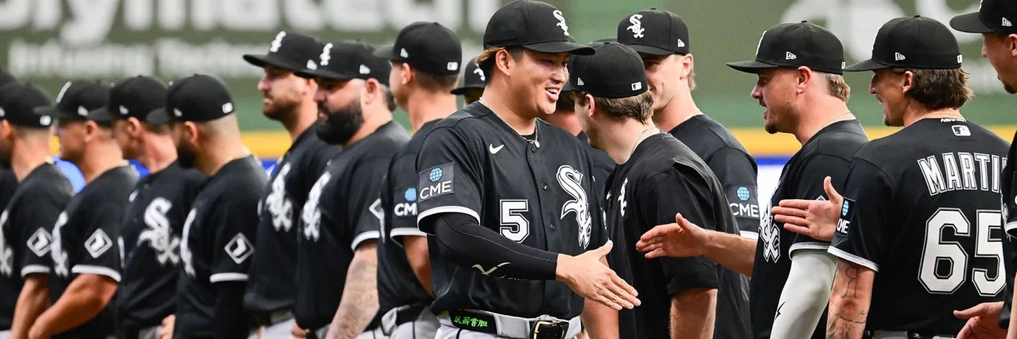 South Side Sluggers banner