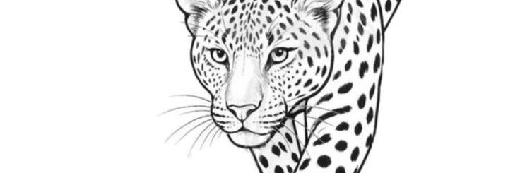 zoi banner