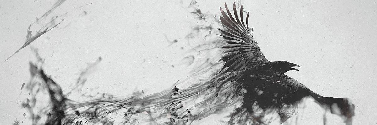 zangato's profile banner image