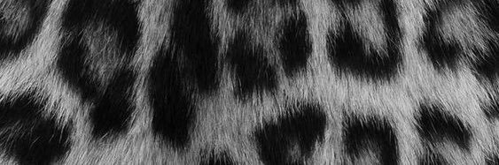 💋 cheri ᯓ★ banner