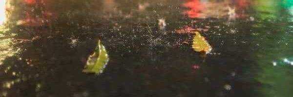 hsaniya407's profile banner image
