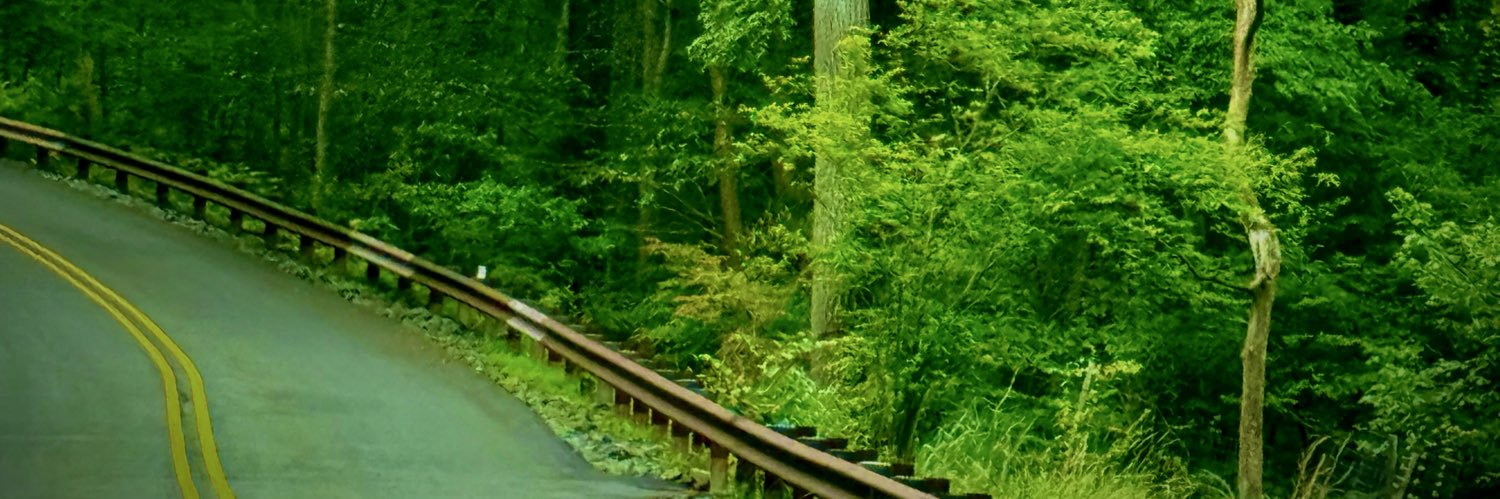 TraditionallyH's profile banner image