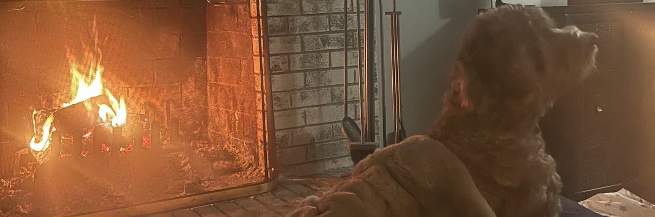 Abbeyashle's profile banner image