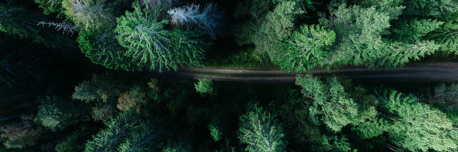 Firman Syahputra banner