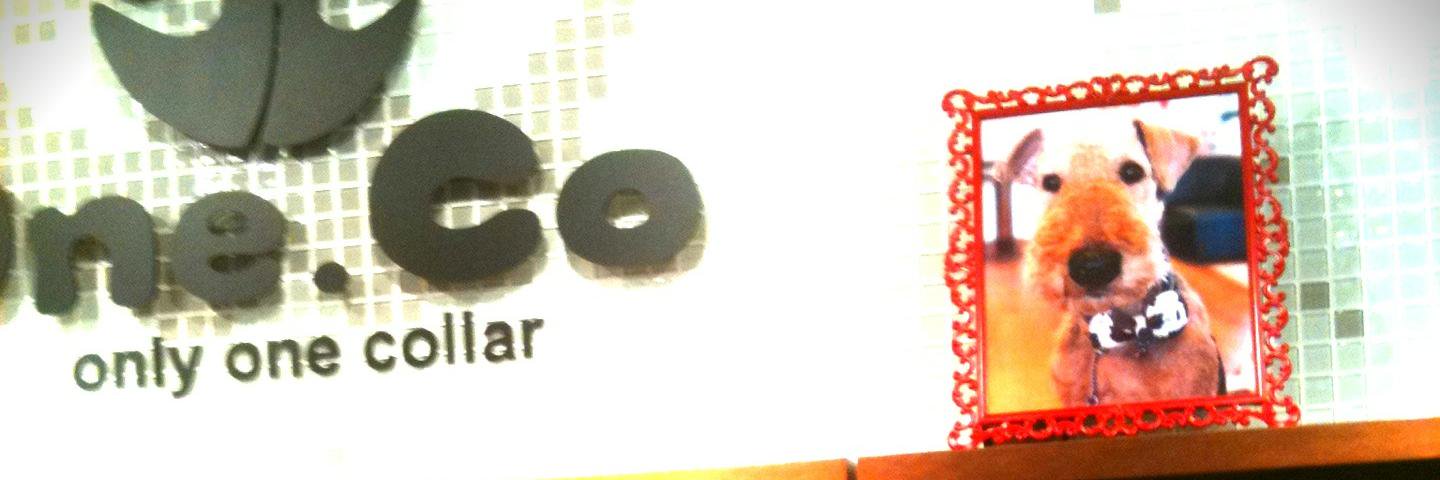 oneco_official's profile banner image