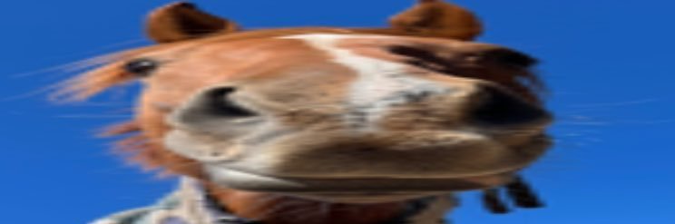 oxkklxo's profile banner image