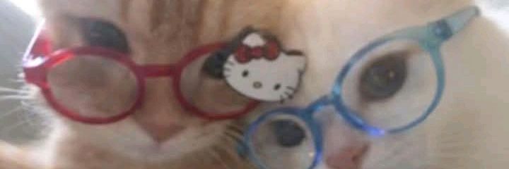hiddenbytina's profile banner image