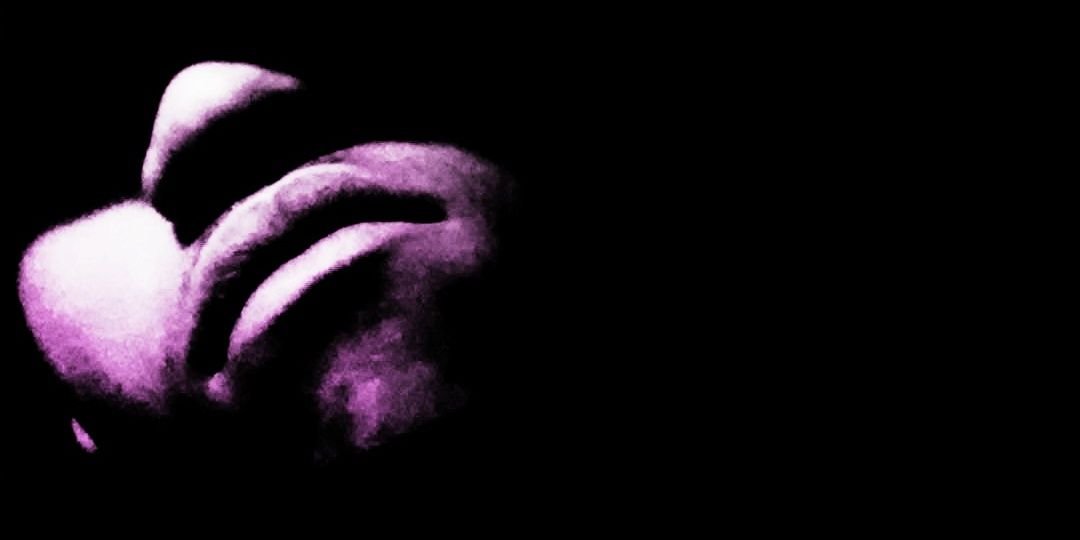 RDMILLZOFFICIAL's profile banner image