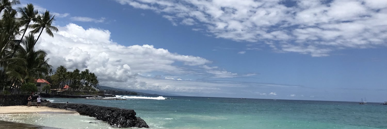 falchan1118's profile banner image