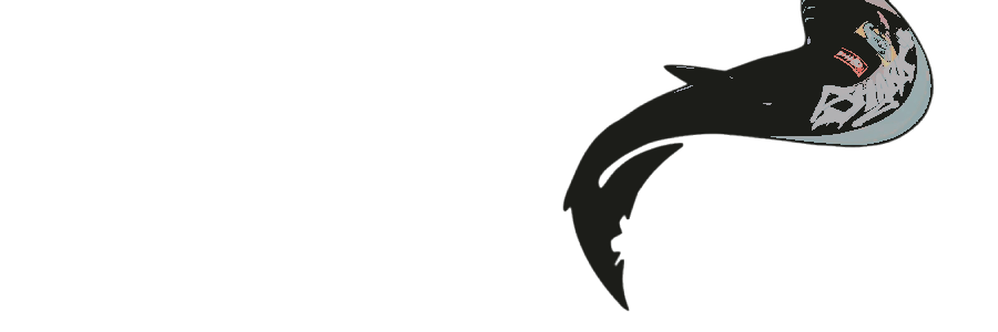 ‍‍ ‍‍‍‍‍‍ ‍‍‍‍𝐒𝐇A𐍂K——𝐍ᴬ͟ᴹᴵ ‍‍‍‍🦈 banner