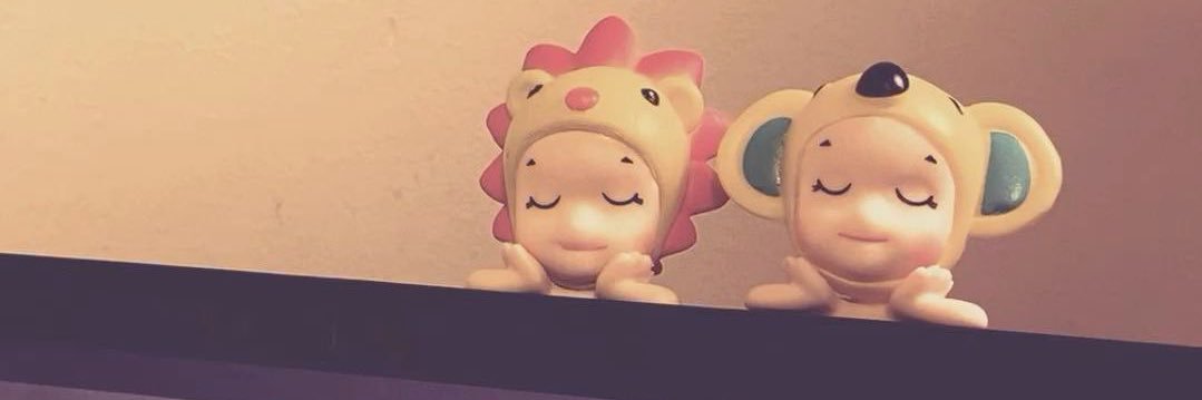 ݁ ˖Ი𐑼⋆ banner