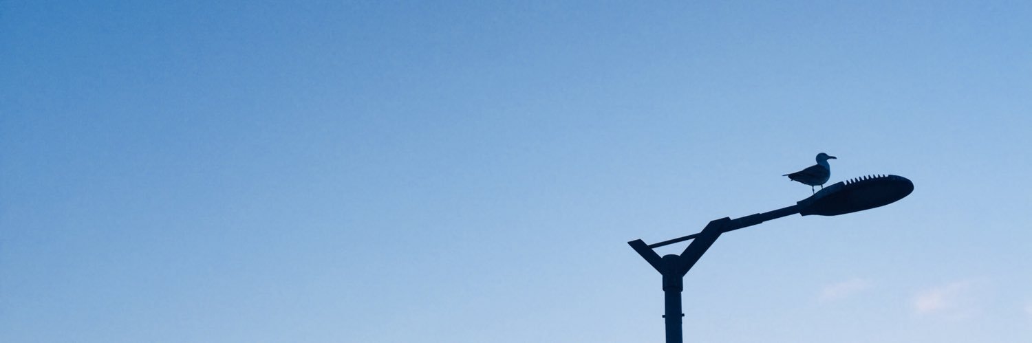Ryan_Sue's profile banner image