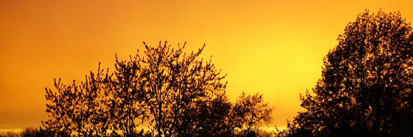 Hector__J16 Profile Banner