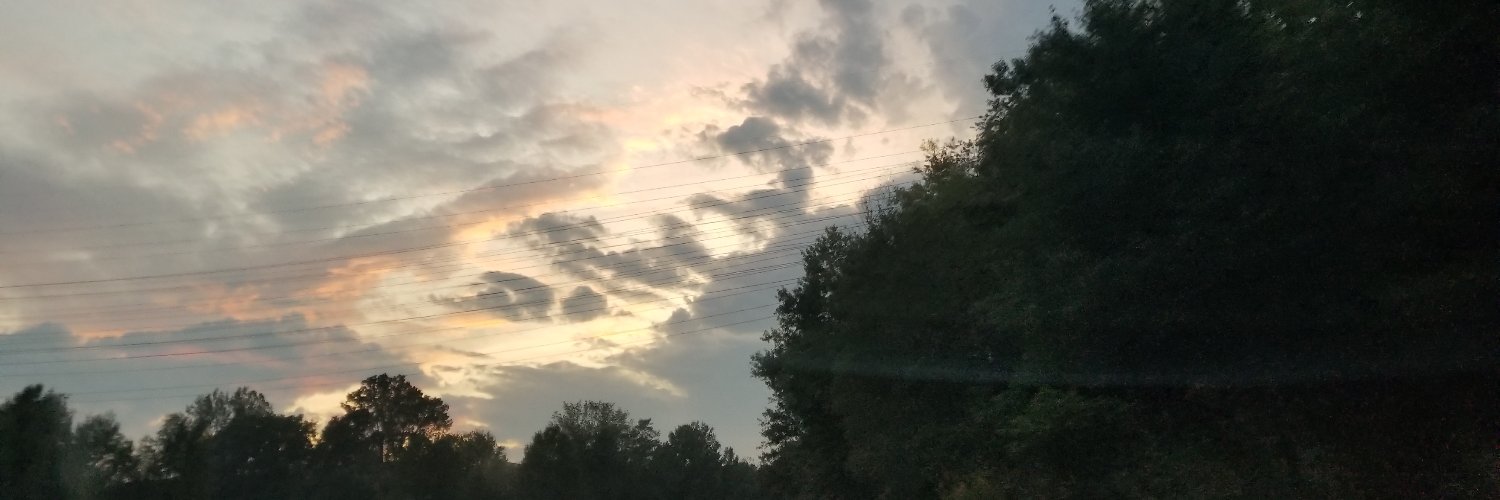 ham213's profile banner image