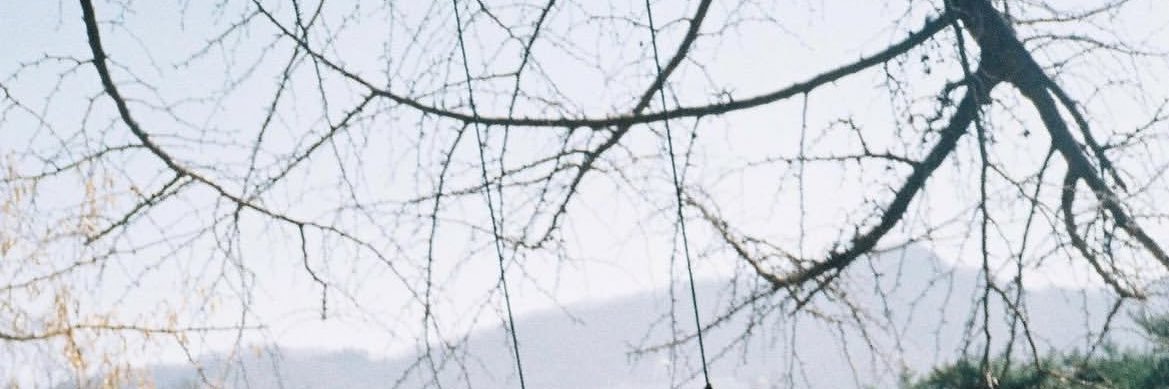 مينـاري banner