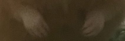 1ban_baka's profile banner image