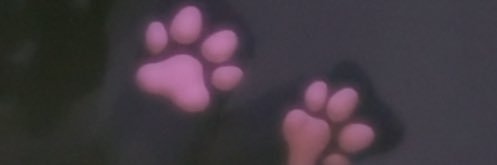 memorycxxc's profile banner image
