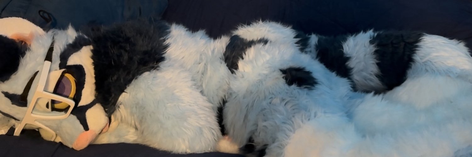 stufftrev 🔞🔜 LVFC, FWA banner