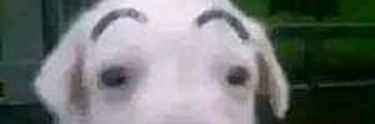 ch0kama's profile banner image