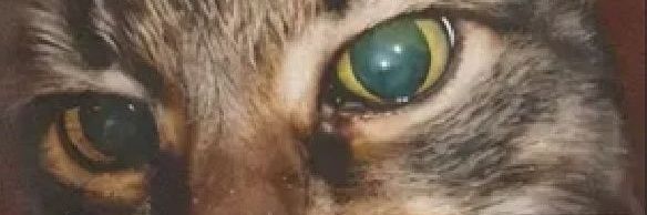 JUAL BARANG MURAH. banner