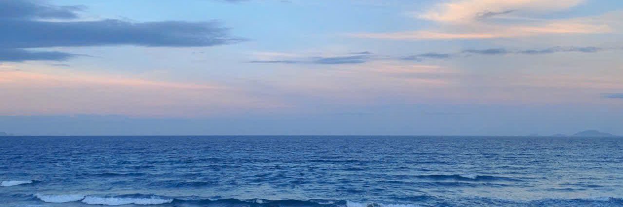 Rinlee banner