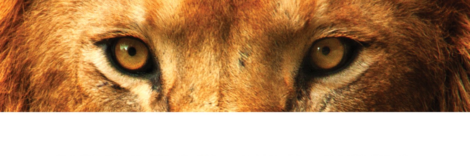 Nav Singh Bains banner