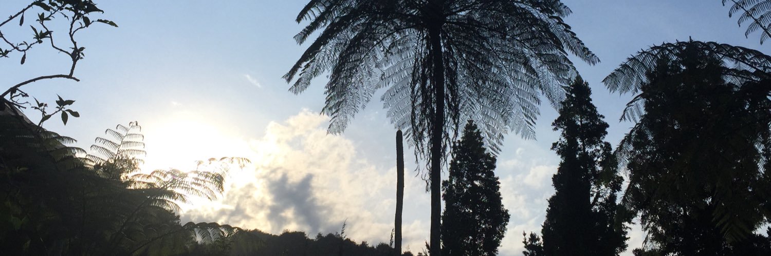 tsjms's profile banner image