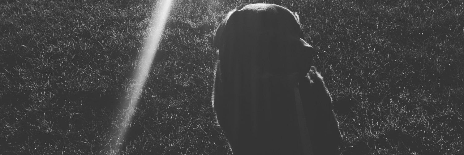 beenaberry's profile banner image