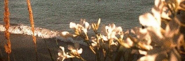 jane banner