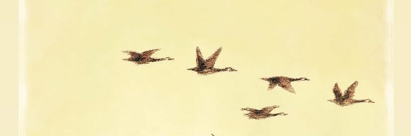 keklik banner