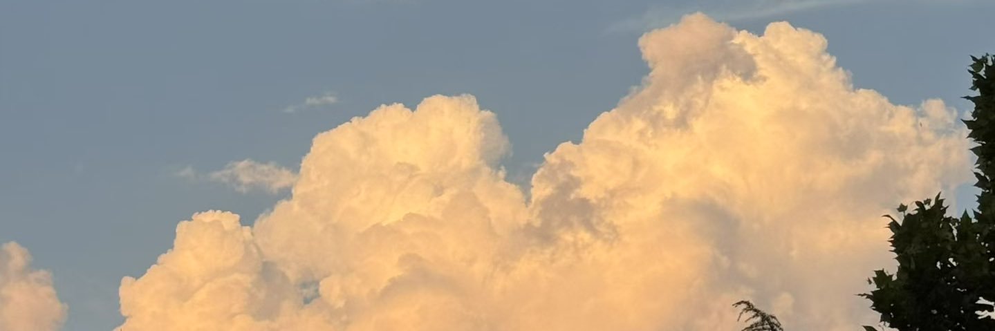 羊毛毯 banner