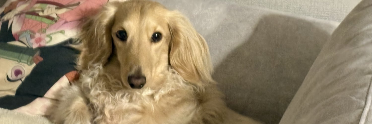 k9qpd's profile banner image
