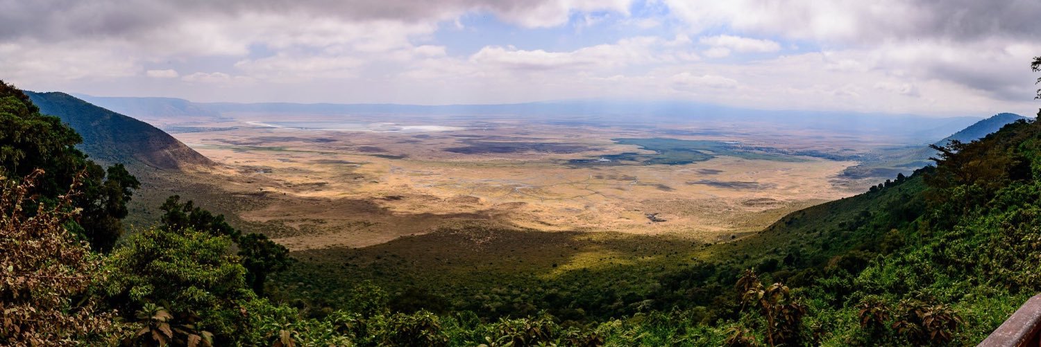 Raj Patel 🇬🇧 🇮🇳 banner