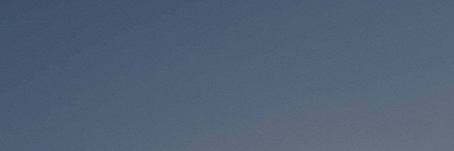(not that) rose banner