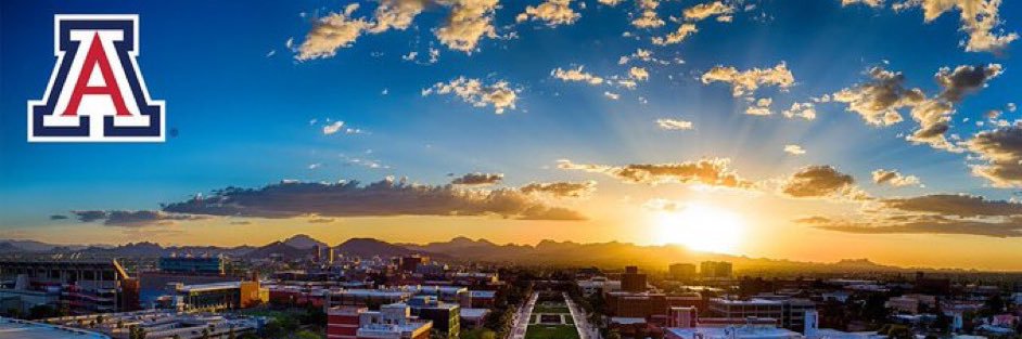 🏜️AZ Ant banner